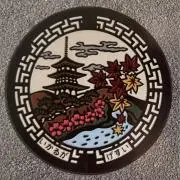 皐月の画像