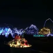 だんそん