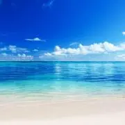 ☆minmi☆売り切りたい!!の画像