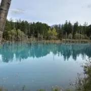 てんやわんや［即購入OK］の画像