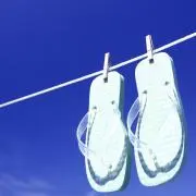 RE Collectの画像