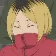 ありの画像