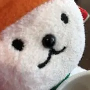 cooの画像