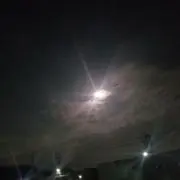 ぴー