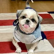 のんち