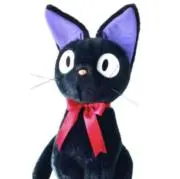 くろねこの画像