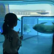 kouˊ˗の画像