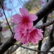 とむとむ母ちゃん