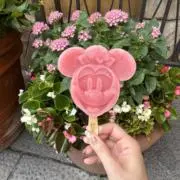 ミニーちゃんの画像