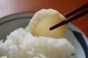 たくあんの画像