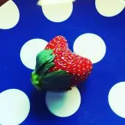 ムロの画像