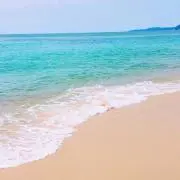 れぴぴ