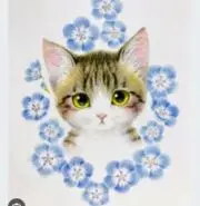 ねこの画像