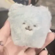 ジオの画像