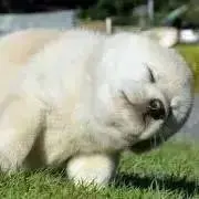 なな【引越し断捨離中】の画像