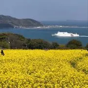 あさこ