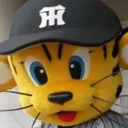 ラングラーの画像