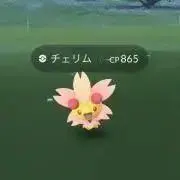 katzの画像