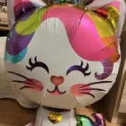 さいぞうの画像