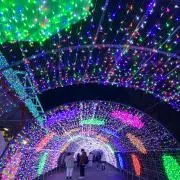 piyo❤︎の画像