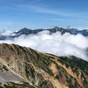 ヤマセの画像