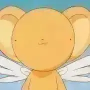 きょーの画像