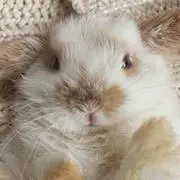 すー※断捨離中