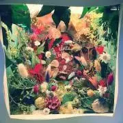 うどんの画像