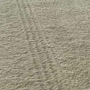 ペリカンの画像