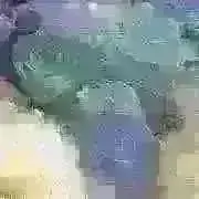 Yoshikの画像