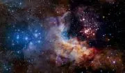 cosmosの画像