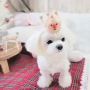 みやみち