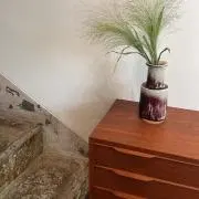 おちゃんの画像