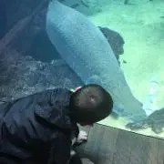 ミッキー