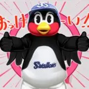 MAYAの画像