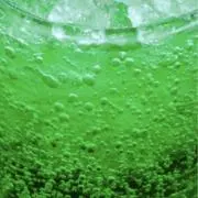 めろんそーだ（8/14〜17発送❌）の画像