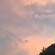 yyyの画像