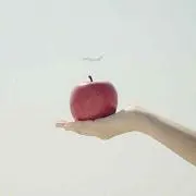 りんごの画像