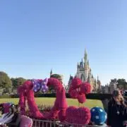Disney♡の画像