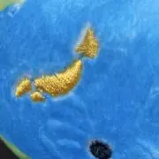 ucnnの画像