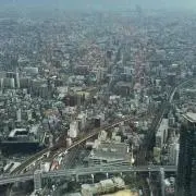 もも