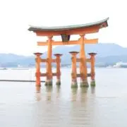 もみじの画像