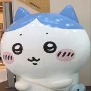 メル