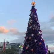 るんの画像