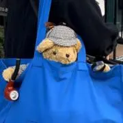 Oshinの画像