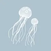 マツオ(プロフ必読)の画像