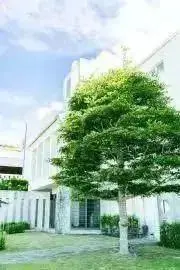 genの画像