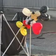こじまの画像