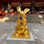 みーちゃんですの画像