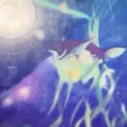 熱帯魚の画像